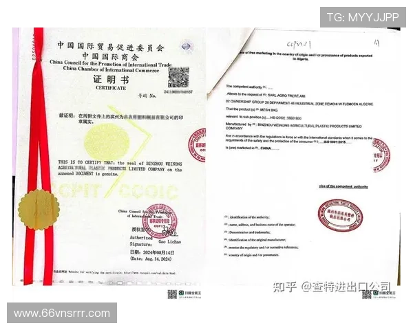 云顶赌场app的技术支持与客户服务详解